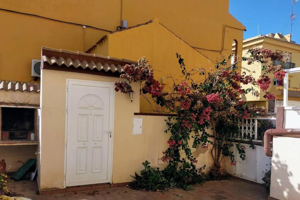 Mar Azul Adosado, Patio Y Solarium Ferienhaus Torrevieja